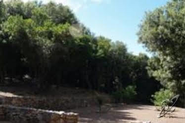 Agriturismo Il Termine Rio Marina Exterior photo