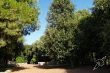 Agriturismo Il Termine Rio Marina Exterior photo